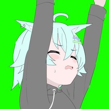 nekoNA